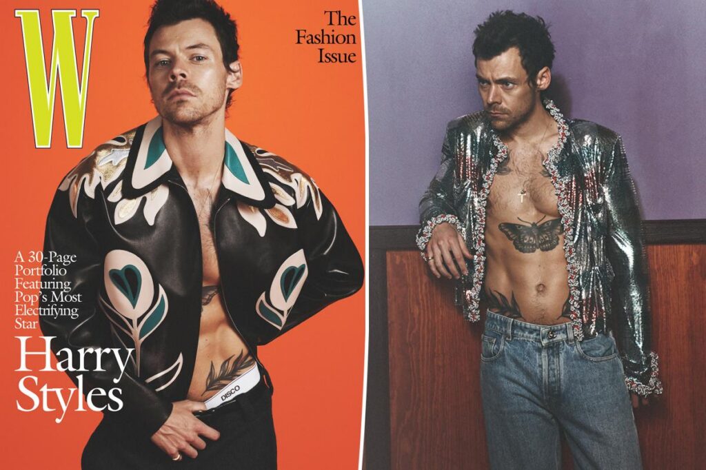Harry Styles Trades His Shirt for Chanel in W Magazine